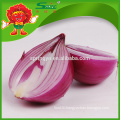 High Quality Onion Manufacturer Natural red big onion